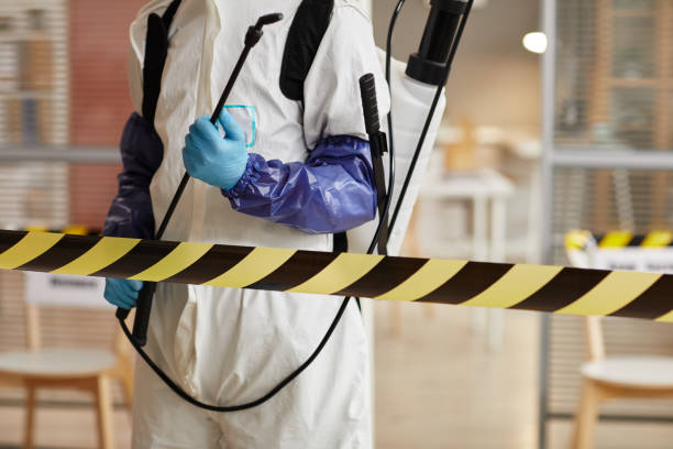 Professional Sewage Cleanup technician working in Edmore, MI