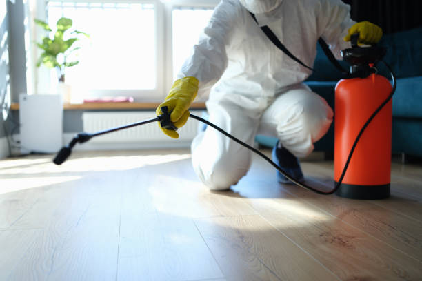 Reliable Sewage Cleanup contractor in Edmore, MI by Trauma Clean Pros